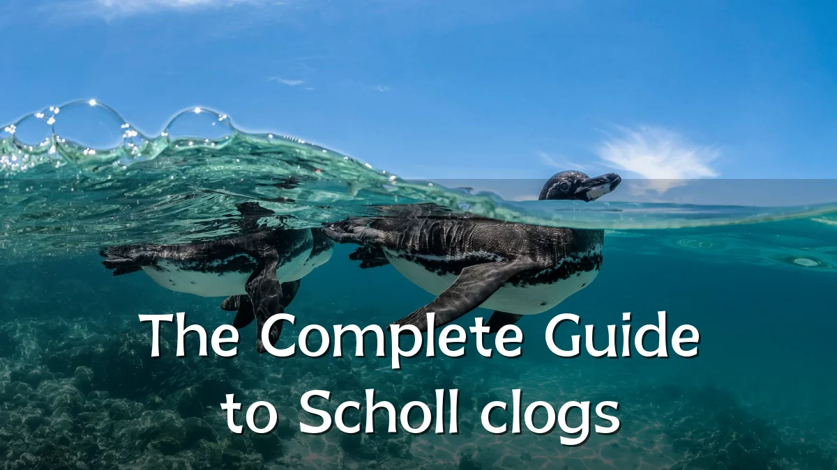 The Complete Guide to Scholl clogs