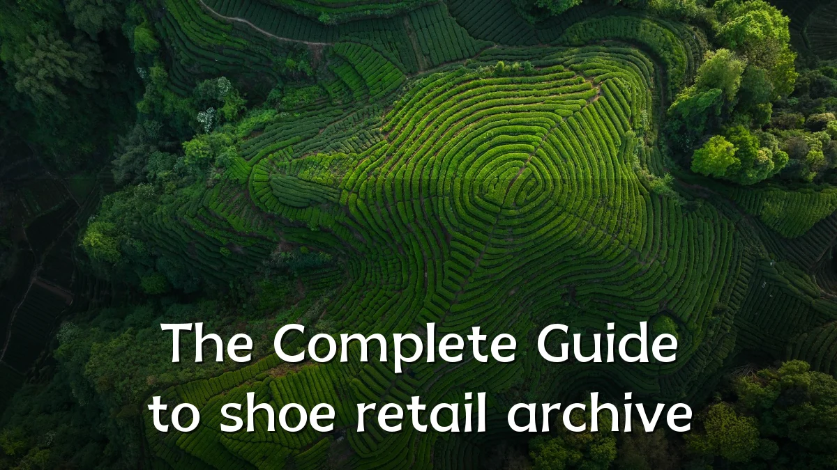 The Complete Guide to shoe retail archive