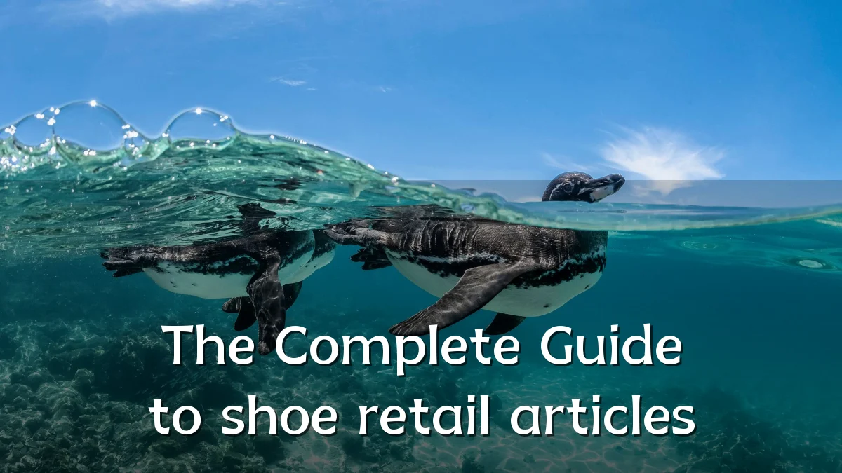 The Complete Guide to shoe retail articles