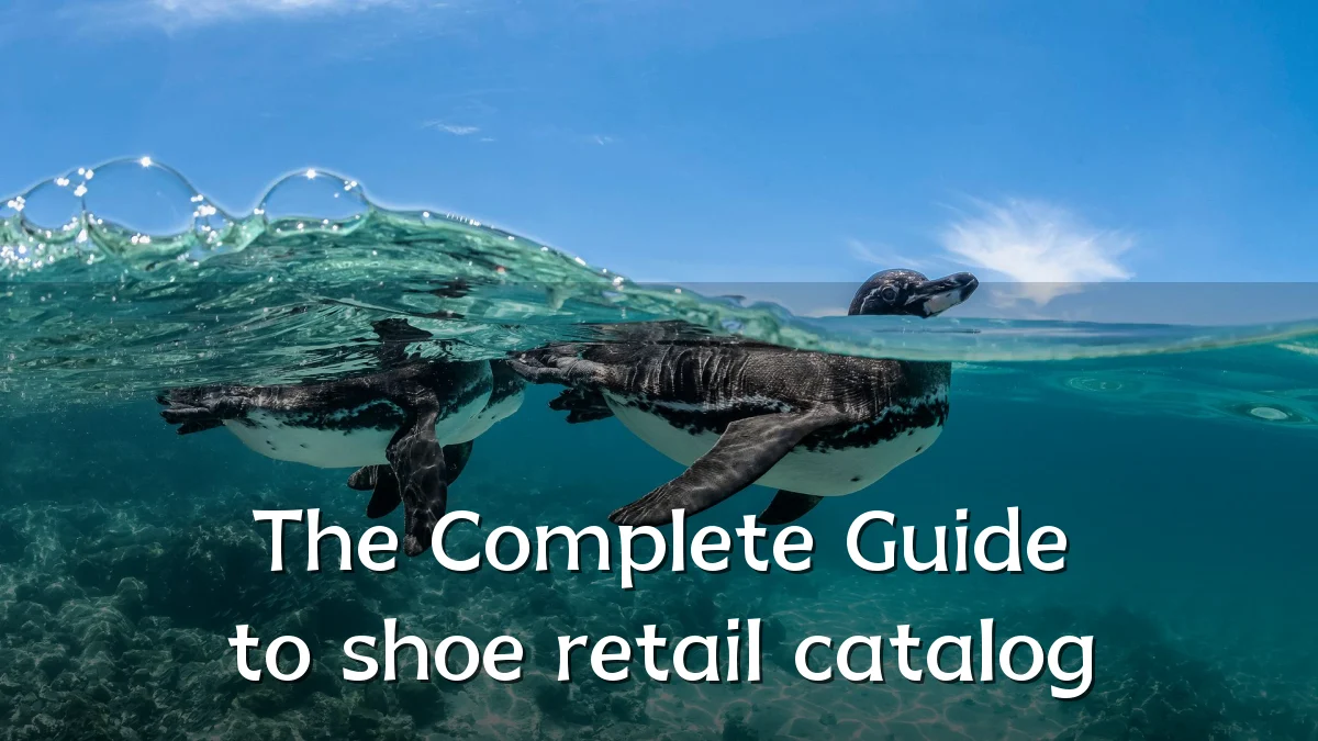 The Complete Guide to shoe retail catalog