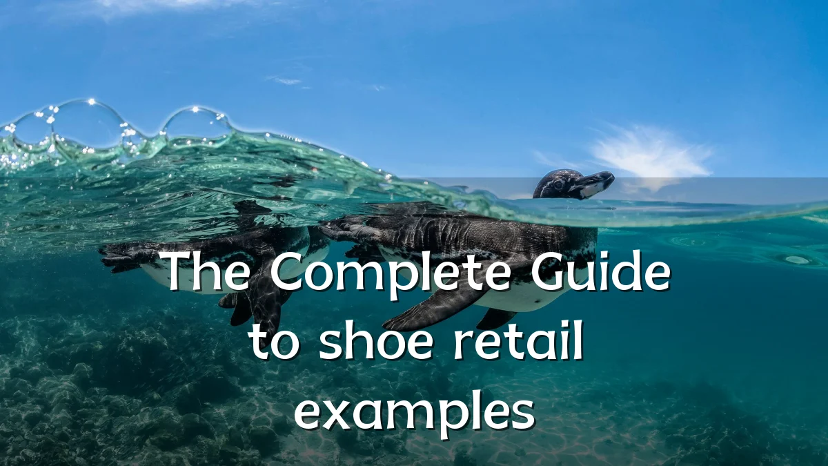 The Complete Guide to shoe retail examples