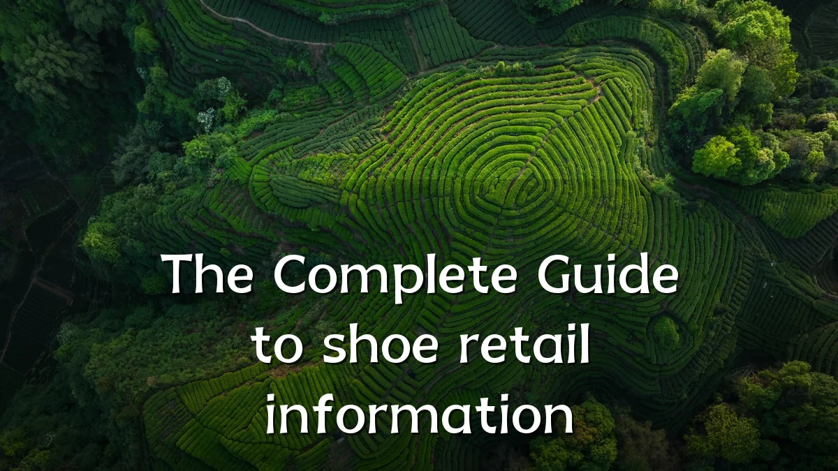 The Complete Guide to shoe retail information