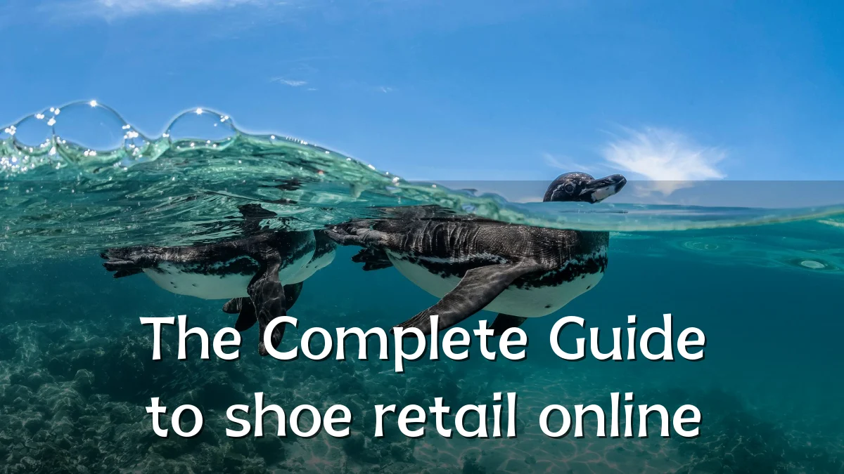 The Complete Guide to shoe retail online