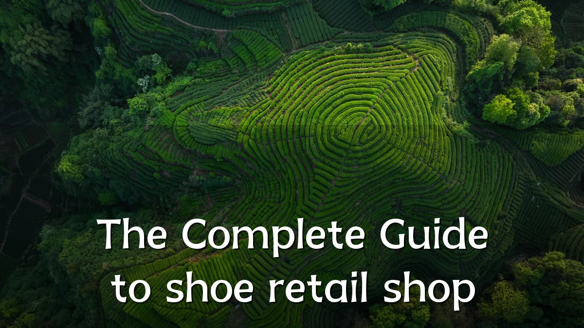 The Complete Guide to shoe retail shop