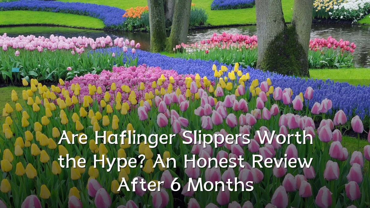 Are Haflinger Slippers Worth the Hype? An Honest Review After 6 Months