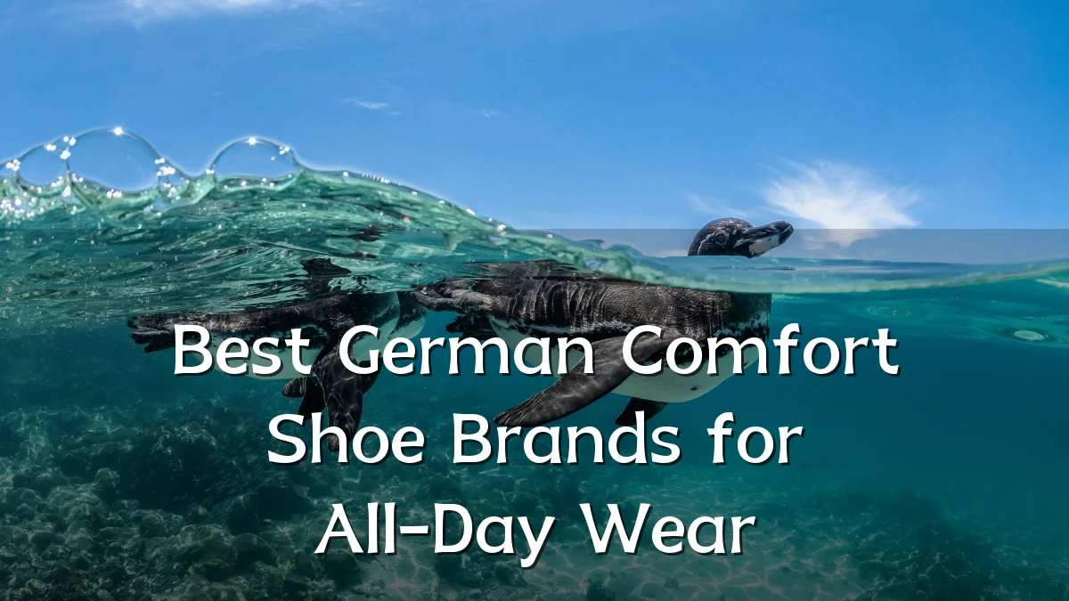 Best German Comfort Shoe Brands for All-Day Wear