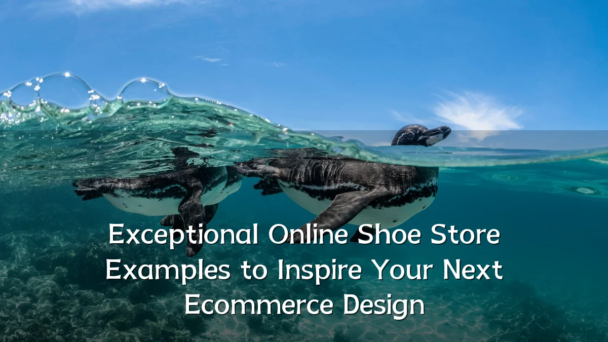 Exceptional Online Shoe Store Examples to Inspire Your Next Ecommerce Design