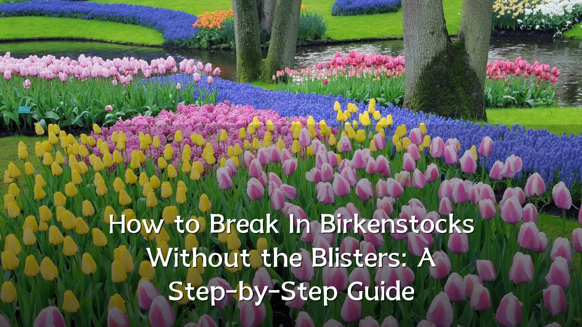 How to Break In Birkenstocks Without the Blisters: A Step-by-Step Guide