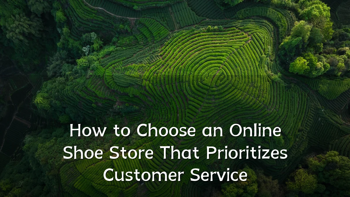 How to Choose an Online Shoe Store That Prioritizes Customer Service