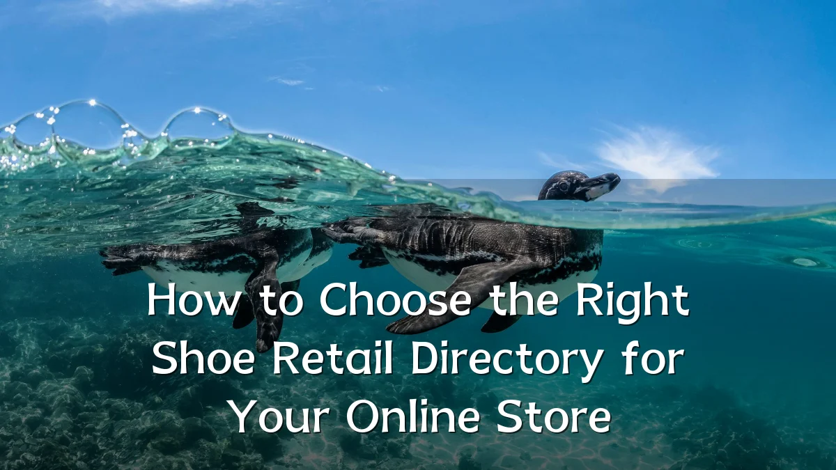 How to Choose the Right Shoe Retail Directory for Your Online Store