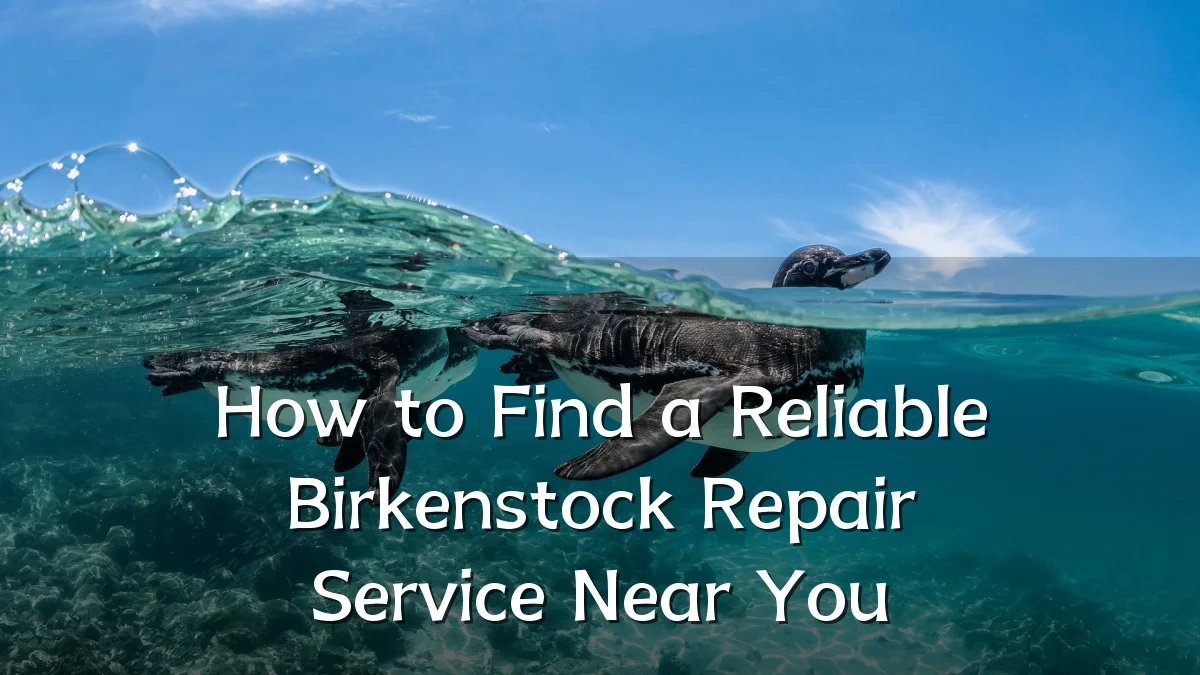 How to Find a Reliable Birkenstock Repair Service Near You