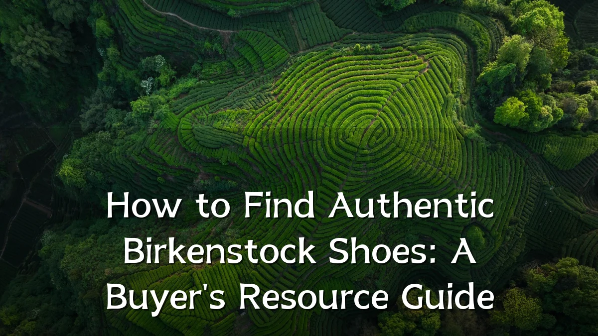 How to Find Authentic Birkenstock Shoes: A Buyer's Resource Guide