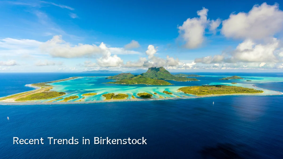 Recent Trends in Birkenstock