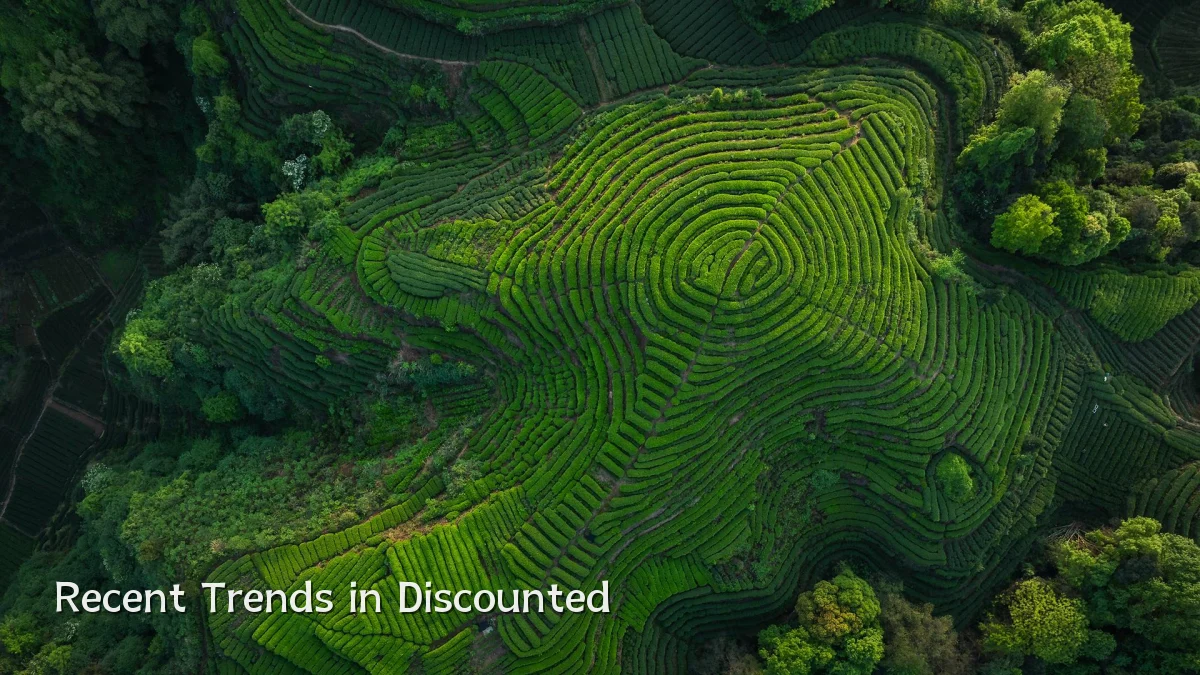 Recent Trends in Discounted