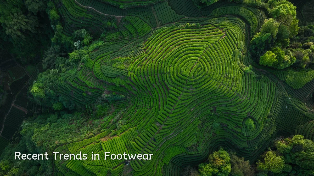 Recent Trends in Footwear