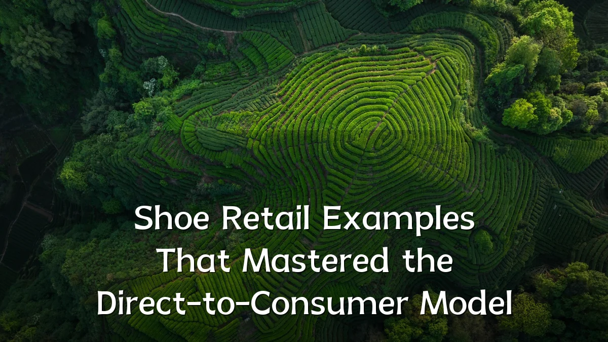 Shoe Retail Examples That Mastered the Direct-to-Consumer Model
