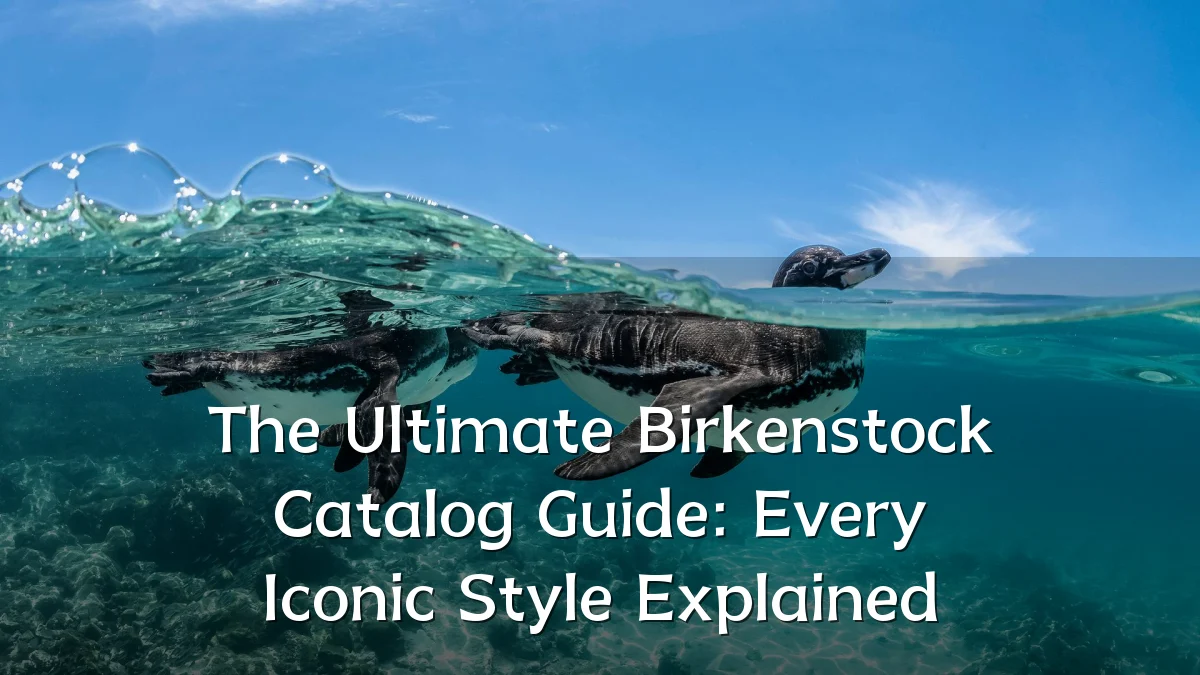 The Ultimate Birkenstock Catalog Guide: Every Iconic Style Explained