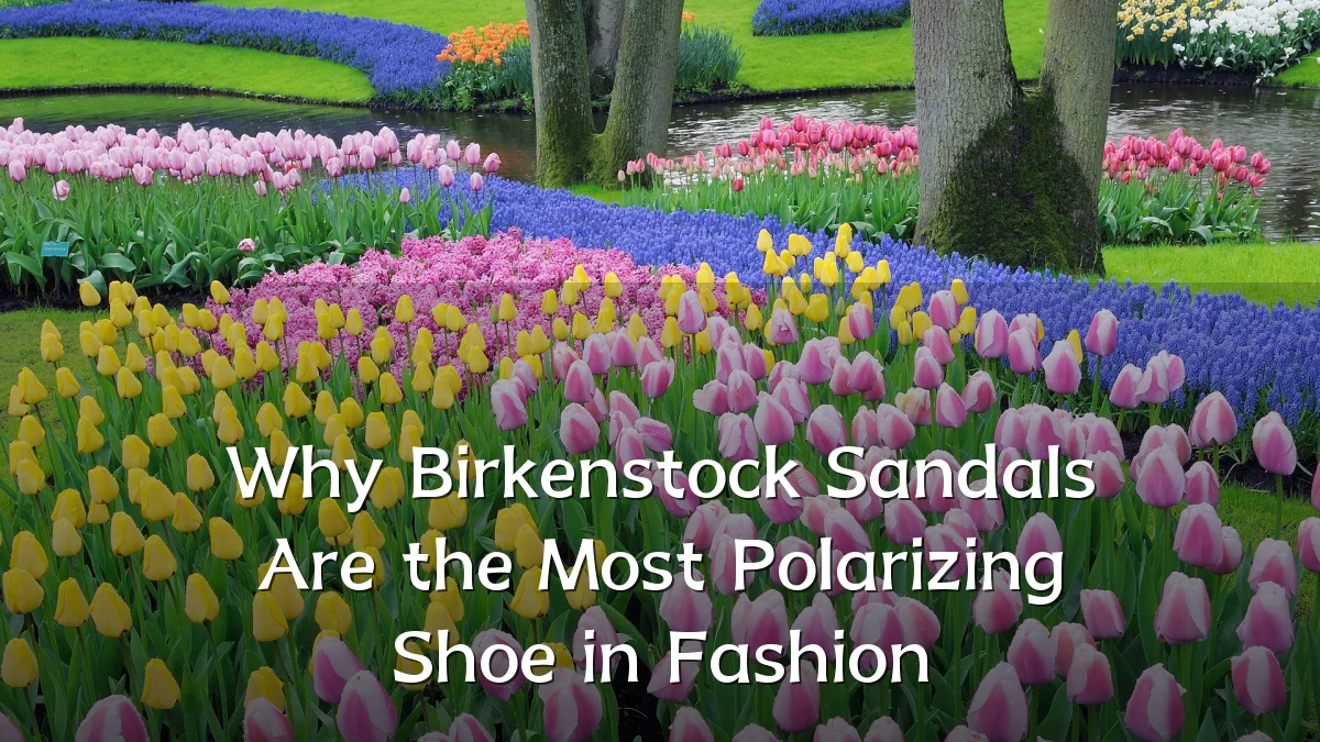 Why Birkenstock Sandals Are the Most Polarizing Shoe in Fashion