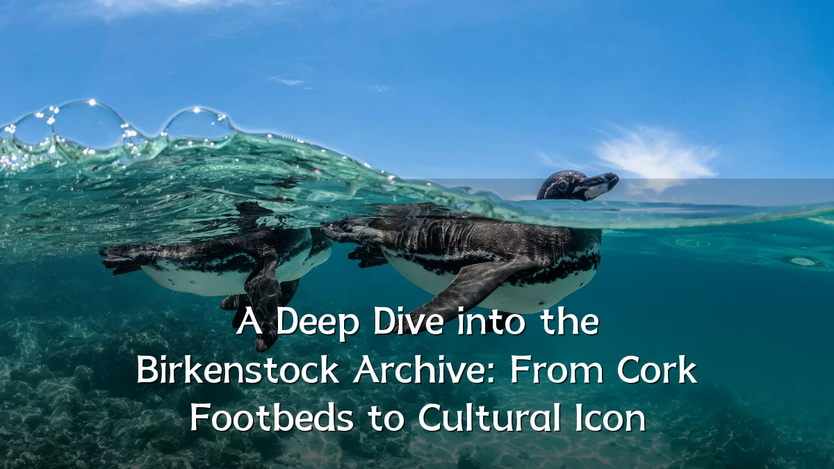 A Deep Dive into the Birkenstock Archive: From Cork Footbeds to Cultural Icon