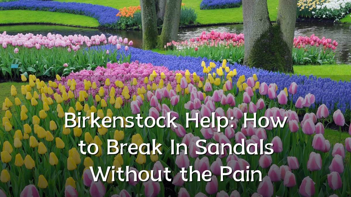 Birkenstock Help: How to Break In Sandals Without the Pain