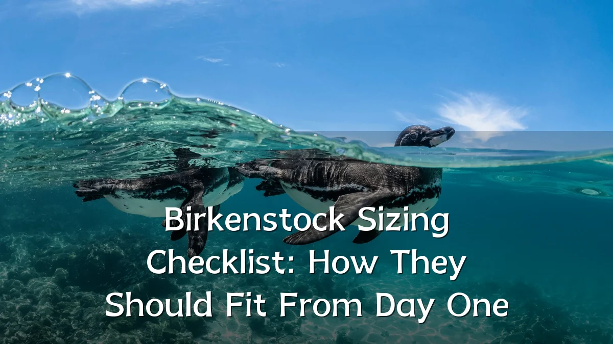 Birkenstock Sizing Checklist: How They Should Fit From Day One