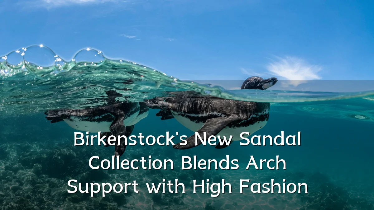 Birkenstock's New Sandal Collection Blends Arch Support with High Fashion