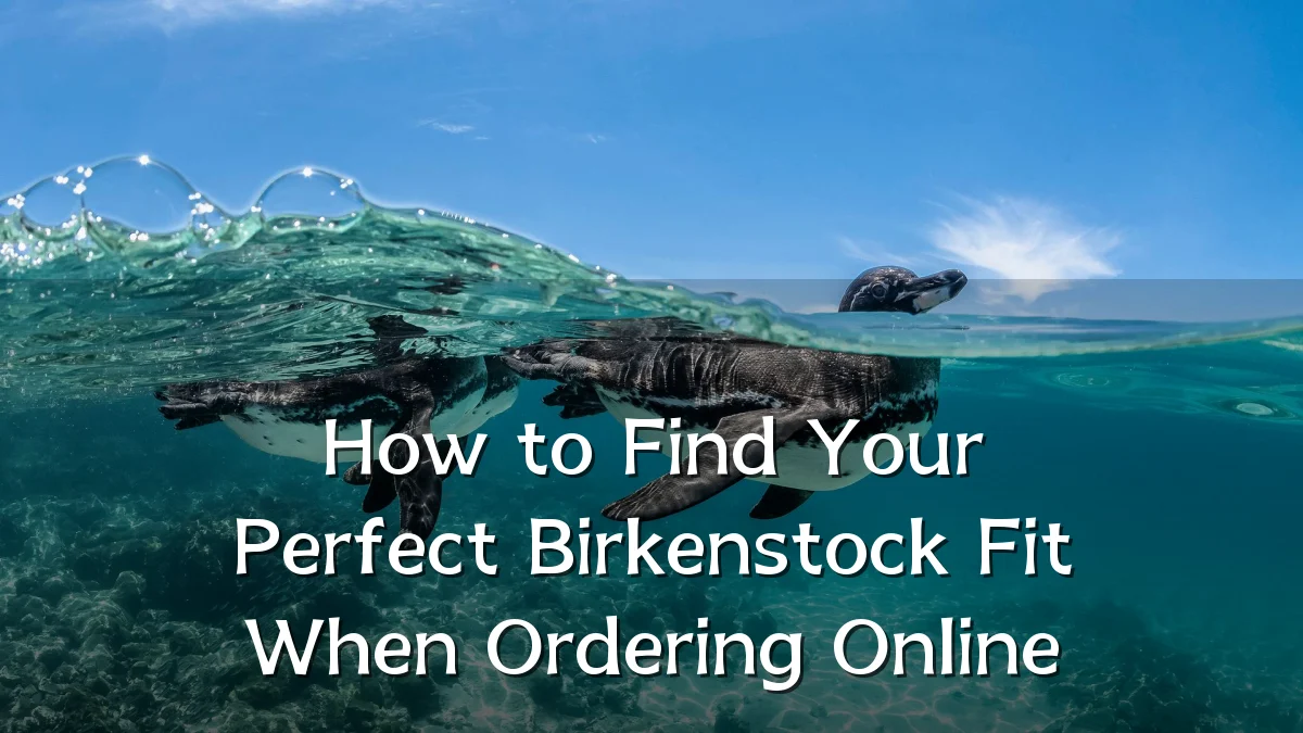How to Find Your Perfect Birkenstock Fit When Ordering Online