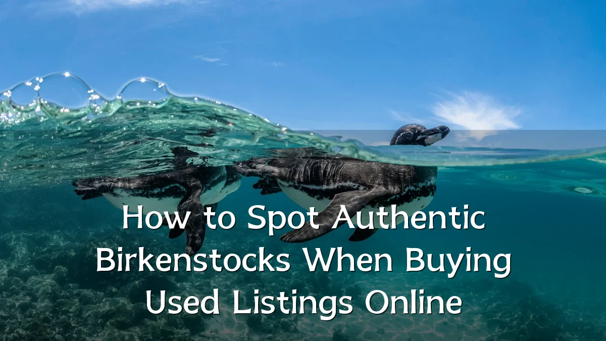 How to Spot Authentic Birkenstocks When Buying Used Listings Online