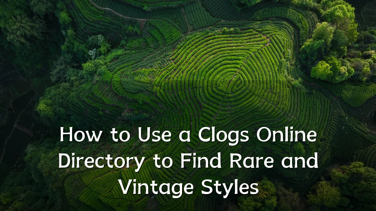 How to Use a Clogs Online Directory to Find Rare and Vintage Styles