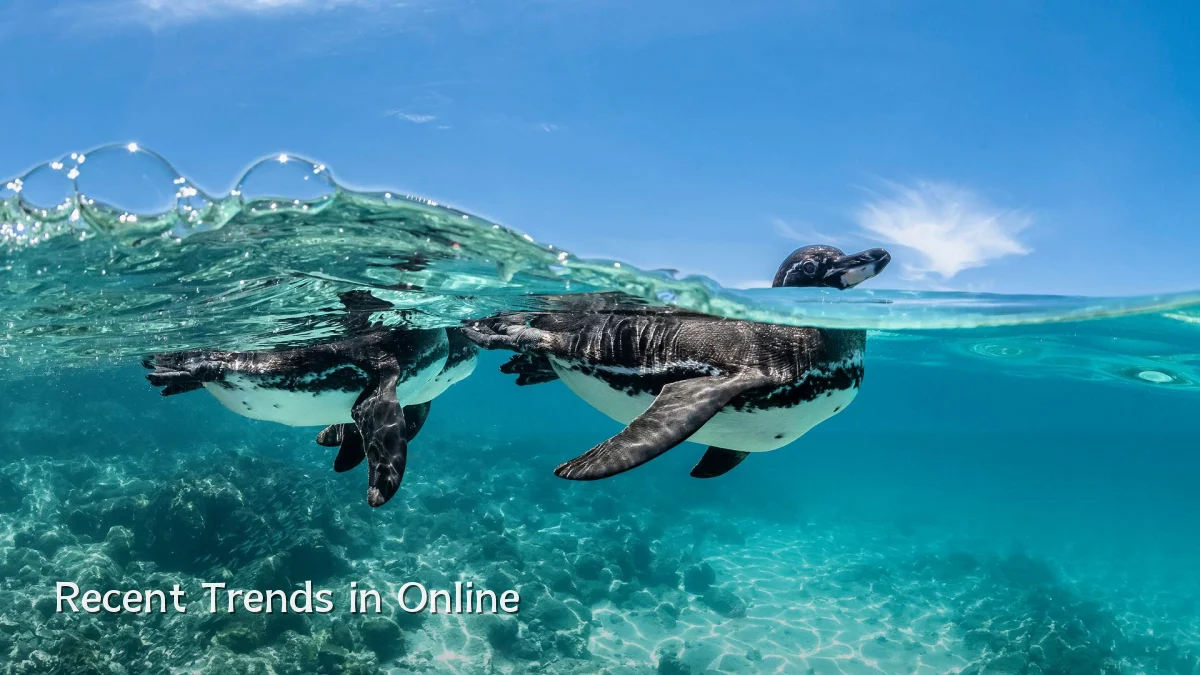 Recent Trends in Online