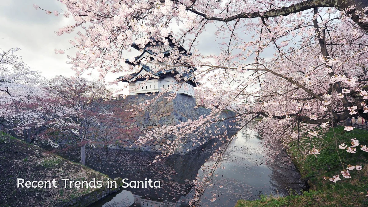 Recent Trends in Sanita