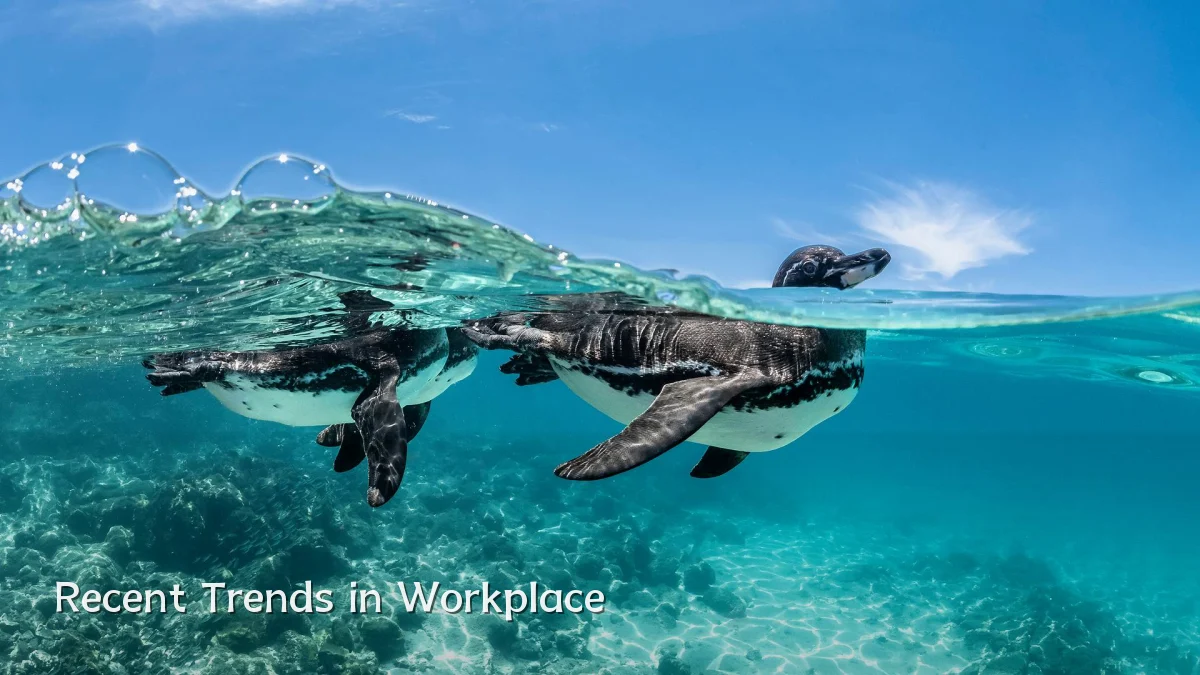 Recent Trends in Workplace