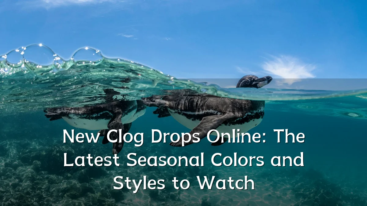 New Clog Drops Online: The Latest Seasonal Colors and Styles to Watch