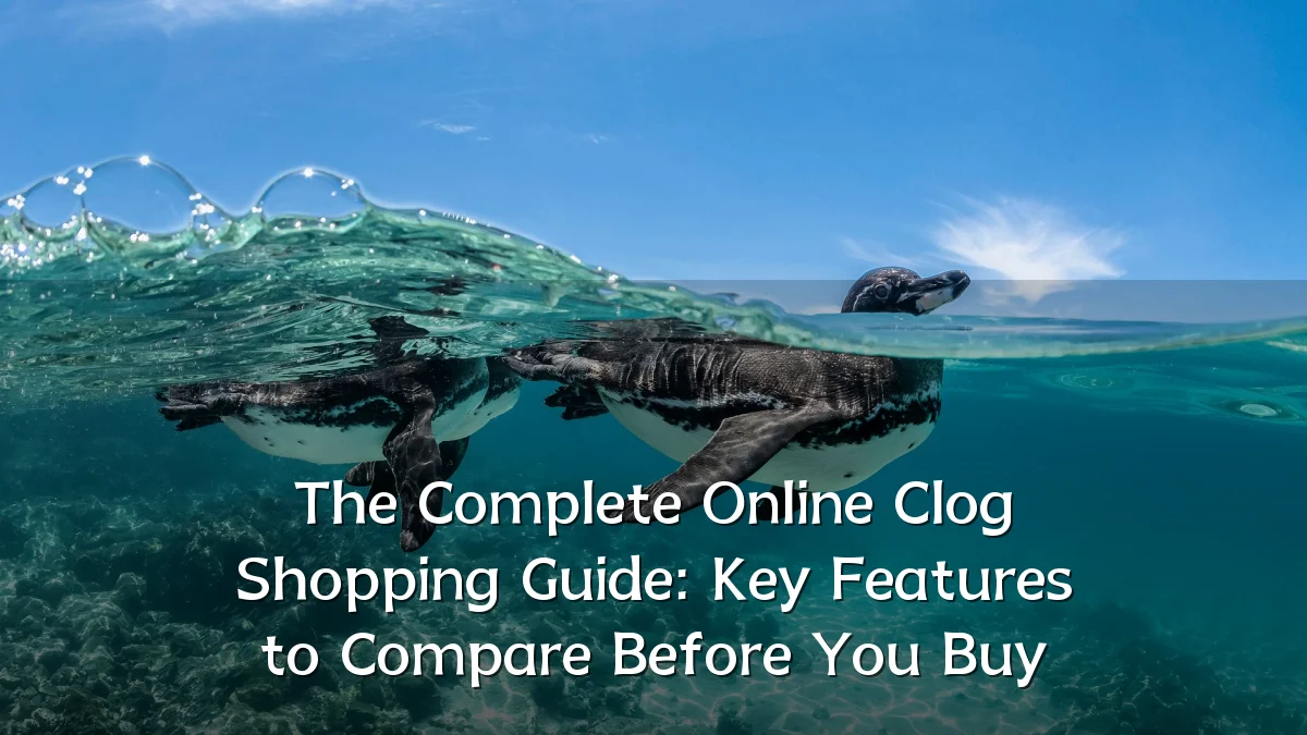 The Complete Online Clog Shopping Guide: Key Features to Compare Before You Buy