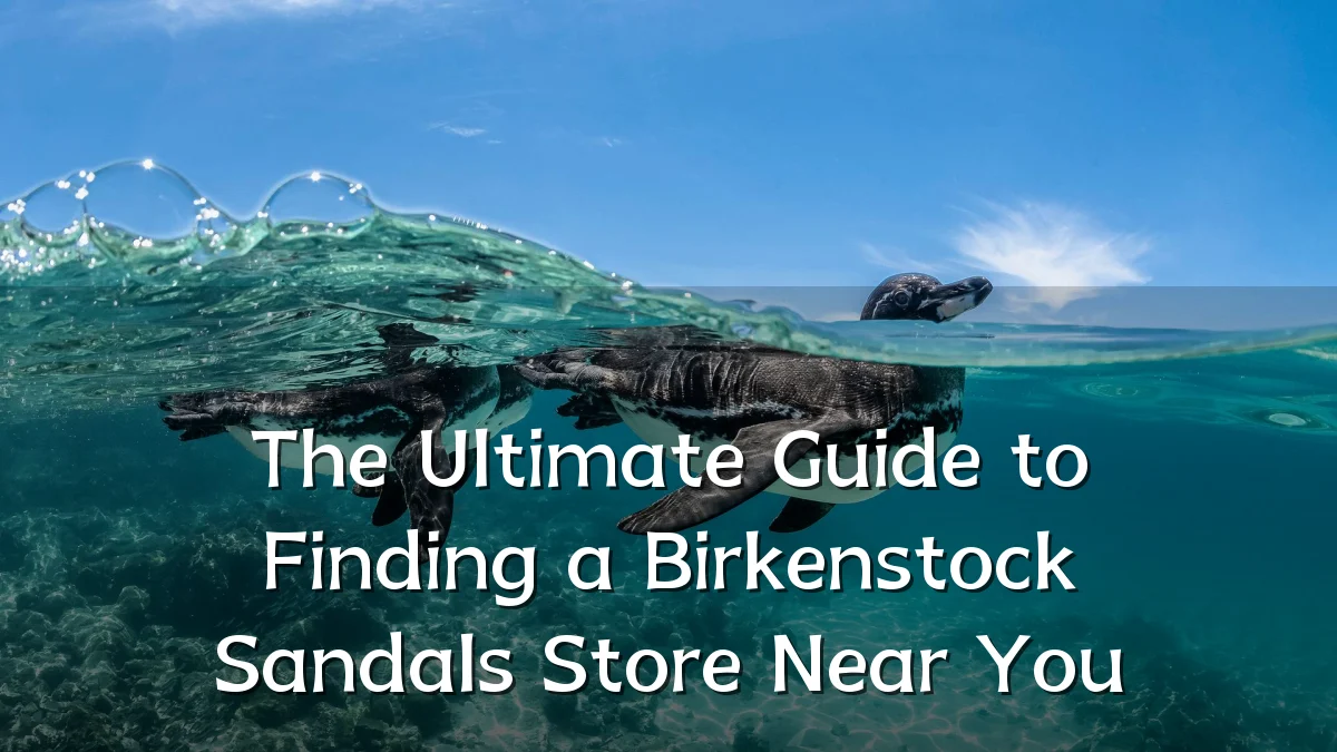 The Ultimate Guide to Finding a Birkenstock Sandals Store Near You