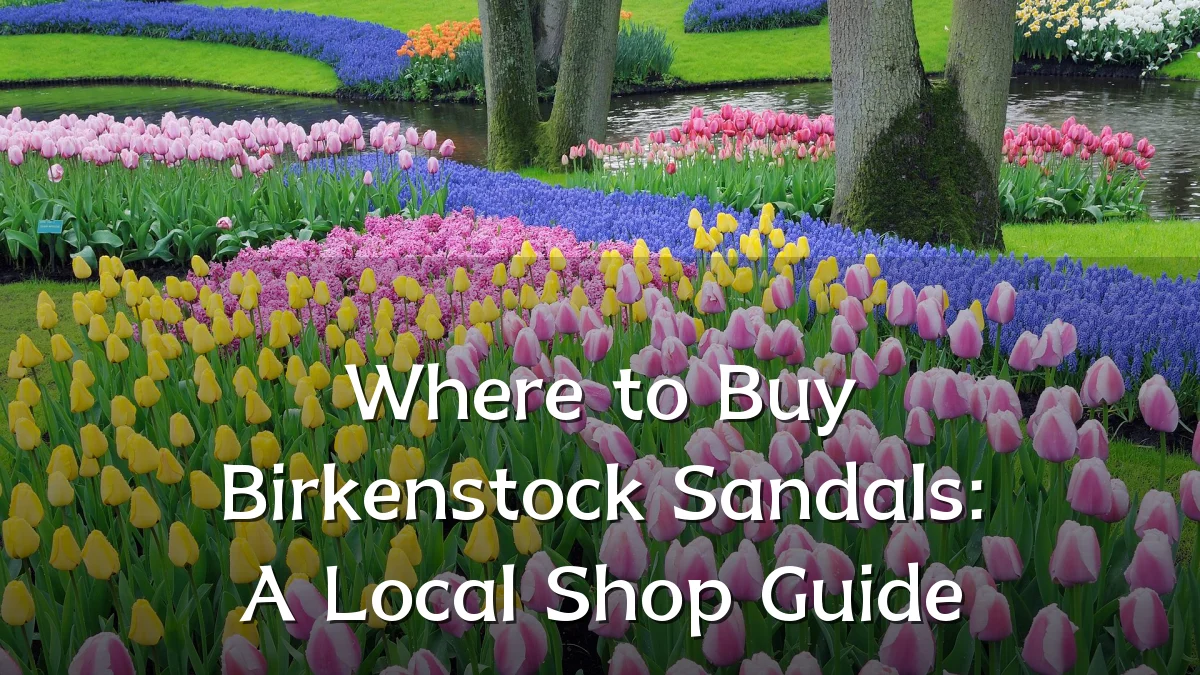 Where to Buy Birkenstock Sandals: A Local Shop Guide