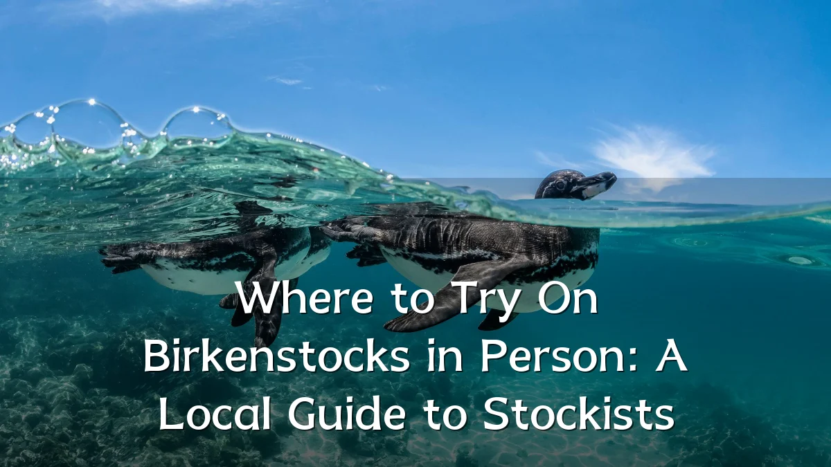 Where to Try On Birkenstocks in Person: A Local Guide to Stockists
